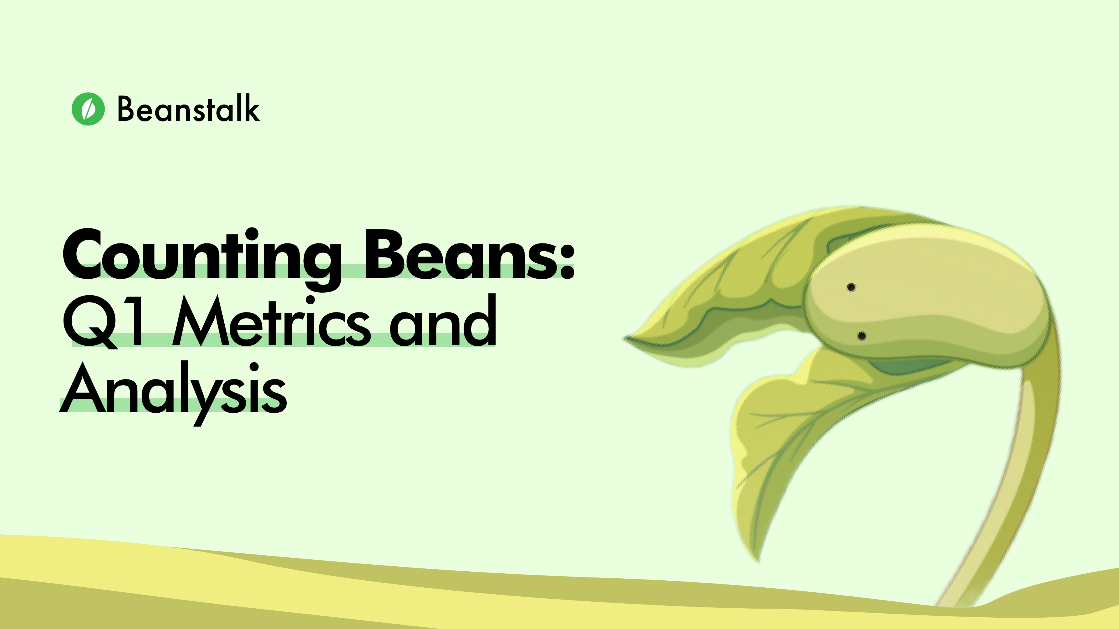 Counting Beans Beanstalk